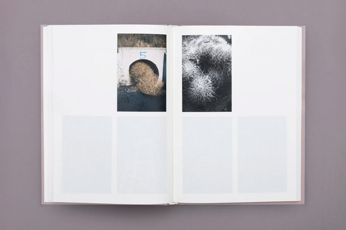 Inés Oliver - Ines-Oliver_No-Todo-Esta-Perdido_3