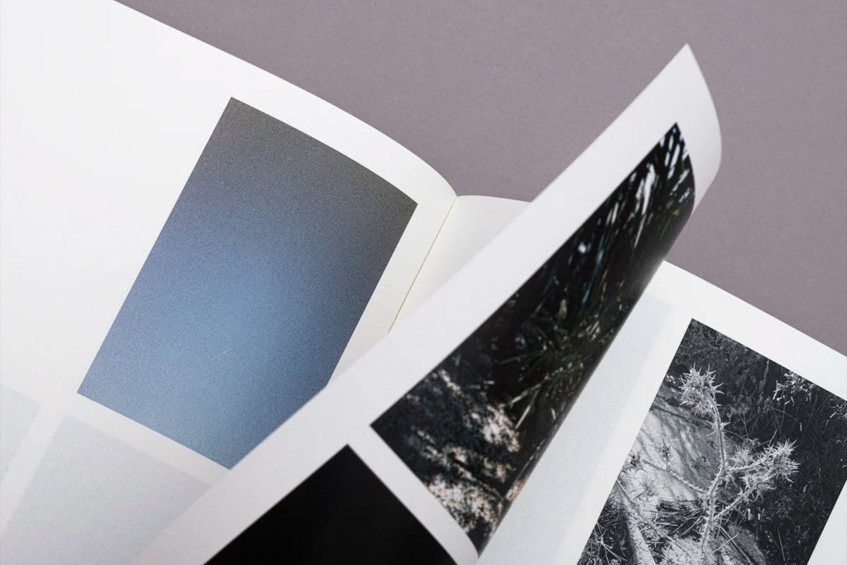 Inés Oliver - Ines-Oliver_No-Todo-Esta-Perdido_5