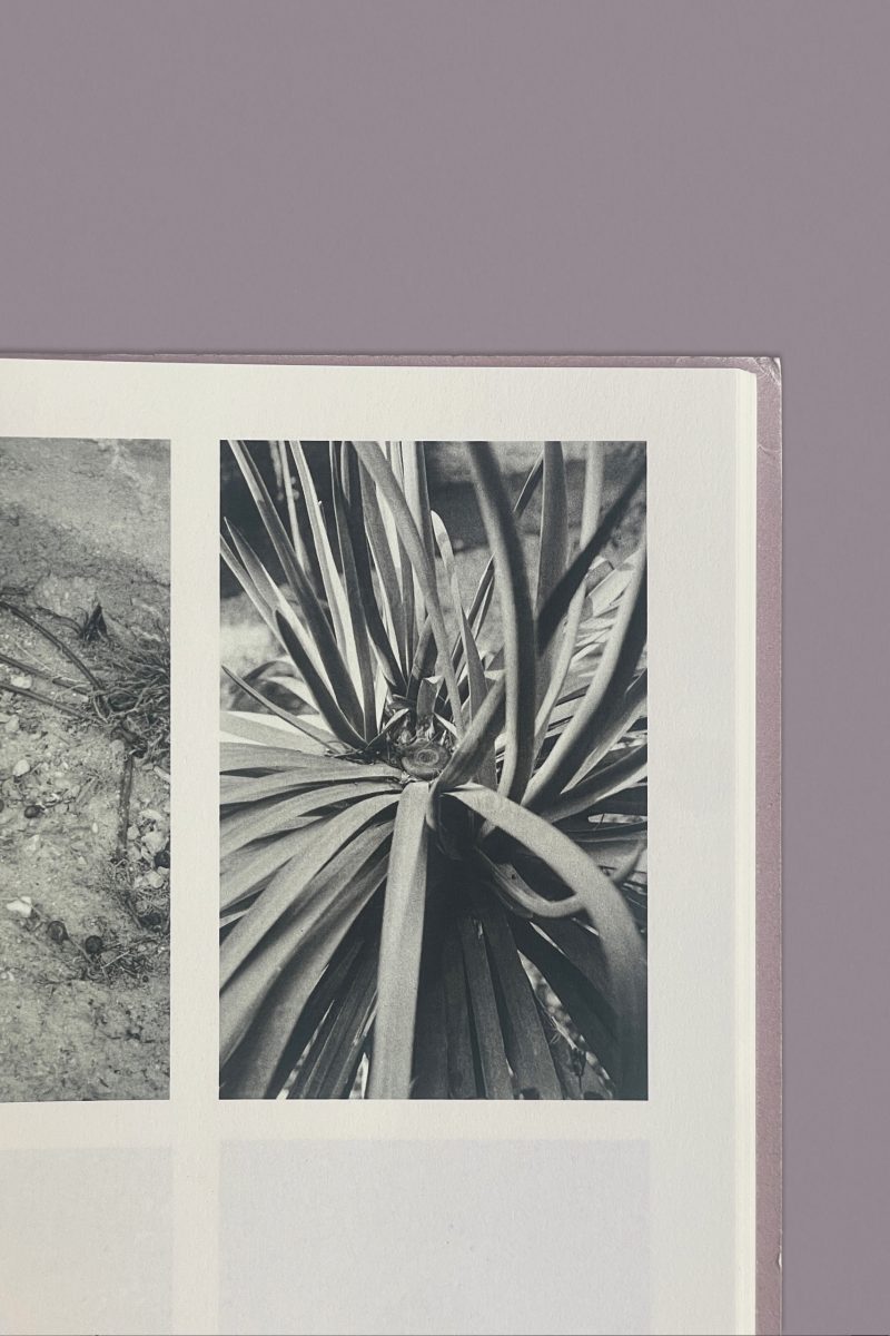 Inés Oliver - Ines-Oliver_No-Todo-Esta-Perdido_8